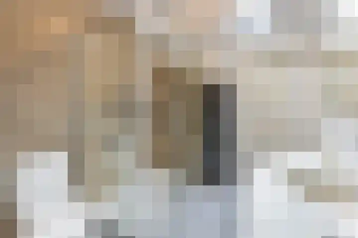 Vlasweel 15 Terheijden thumbnail 22