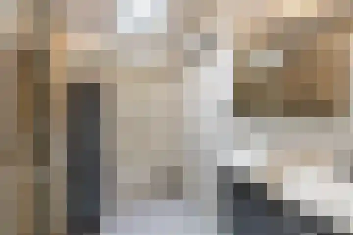 Vlasweel 15 Terheijden thumbnail 23