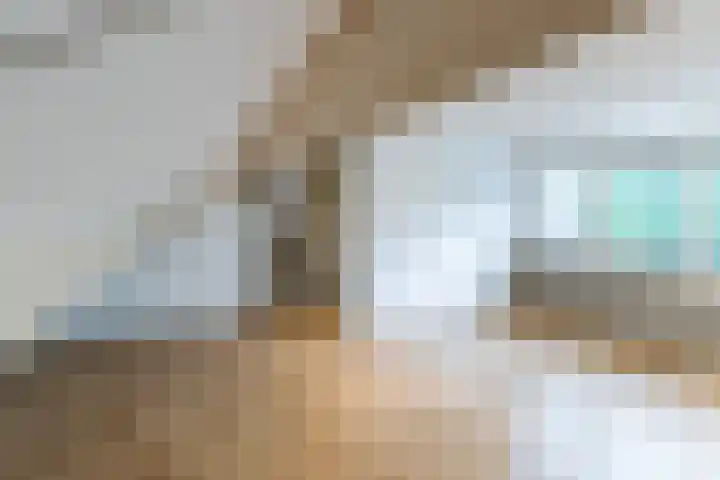 Vlasweel 15 Terheijden thumbnail 25