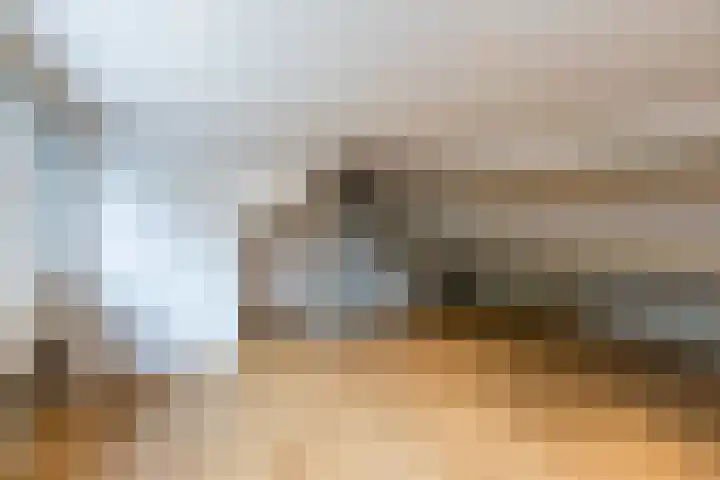 Vlasweel 15 Terheijden thumbnail 26