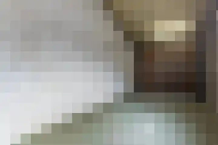 Vlasweel 15 Terheijden thumbnail 27