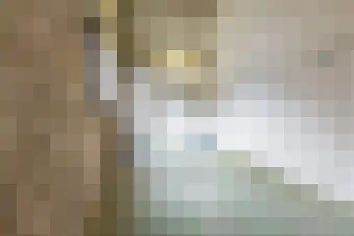 Vlasweel 15 Terheijden thumbnail 28
