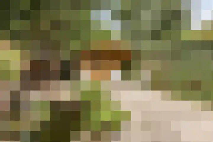 Vlasweel 15 Terheijden thumbnail 30
