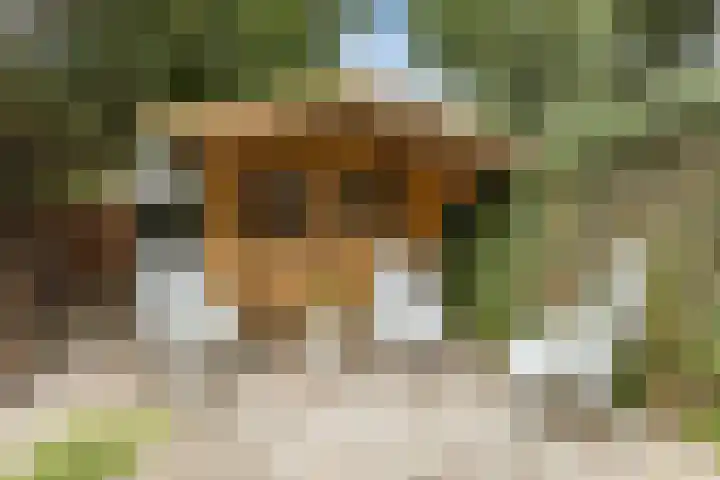 Vlasweel 15 Terheijden thumbnail 32