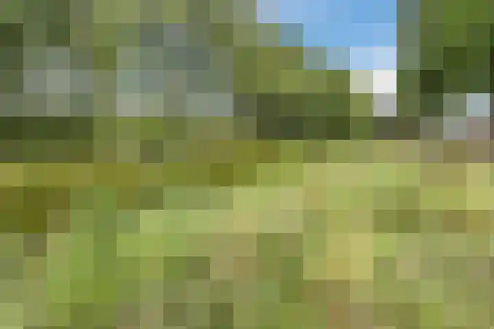 Vlasweel 15 Terheijden thumbnail 34
