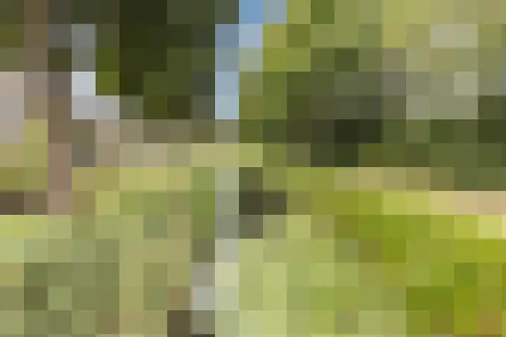 Vlasweel 15 Terheijden thumbnail 35