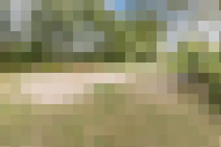 Vlasweel 15 Terheijden thumbnail 37
