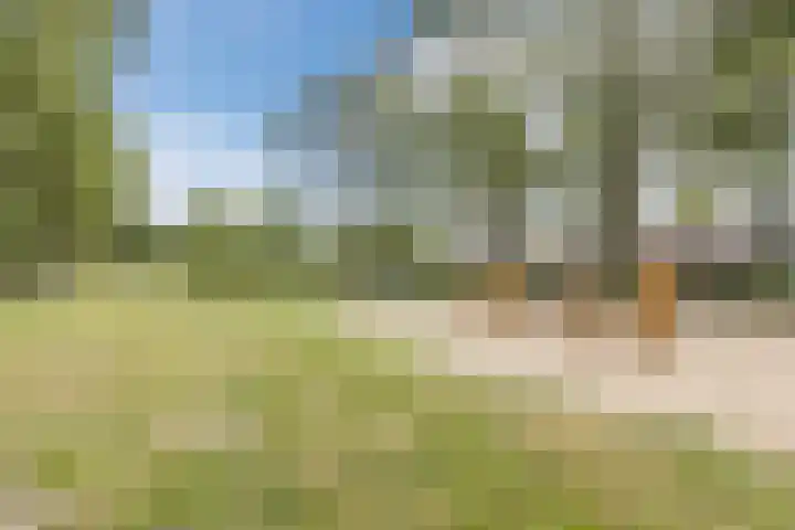 Vlasweel 15 Terheijden thumbnail 38