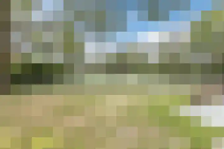 Vlasweel 15 Terheijden thumbnail 39