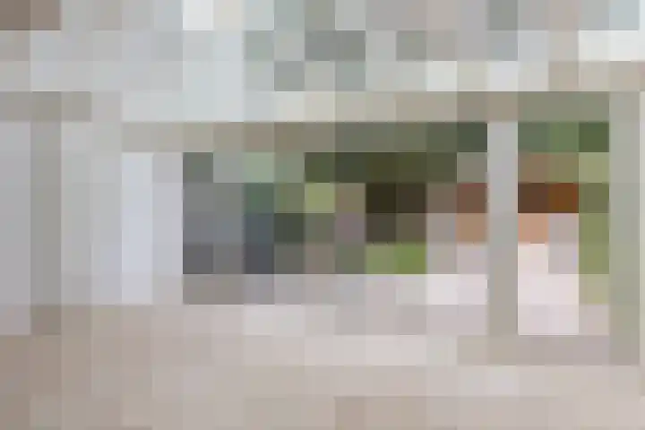 Vlasweel 15 Terheijden thumbnail 8