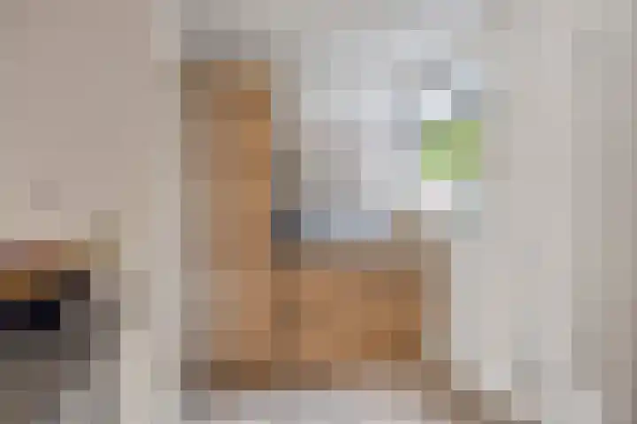 Vlasweel 16 Terheijden thumbnail 18