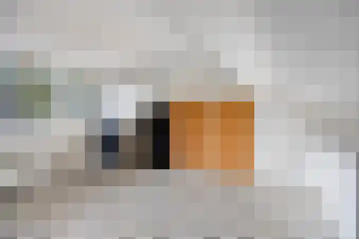 Vlasweel 16 Terheijden thumbnail 30