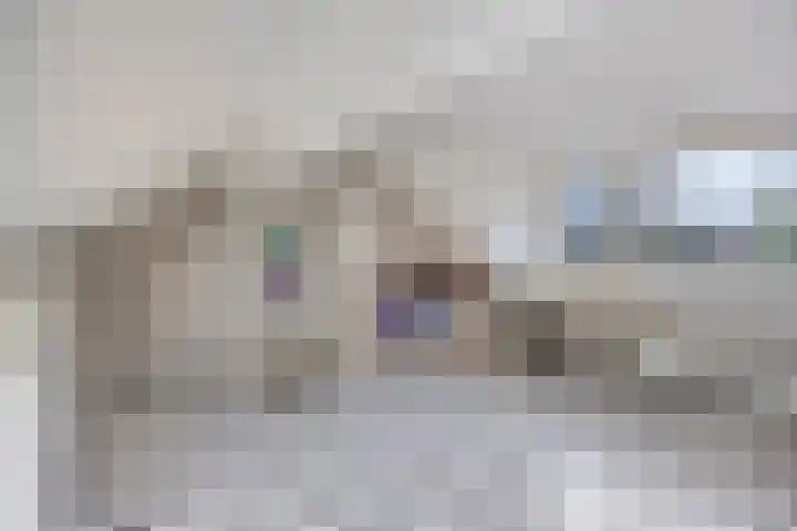 Vlasweel 16 Terheijden thumbnail 31