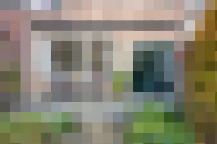 Vlasweel 16 Terheijden thumbnail 32