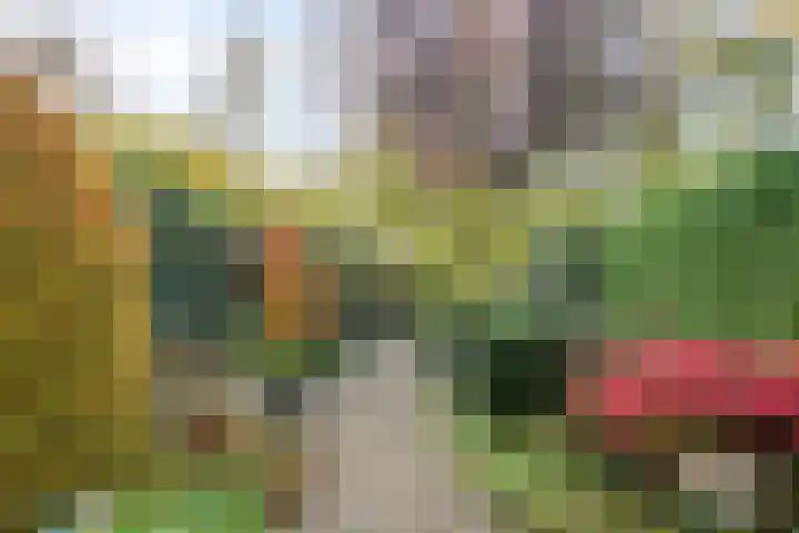 Vlasweel 16 Terheijden thumbnail 33