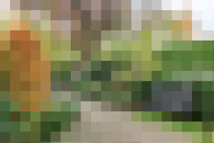 Vlasweel 16 Terheijden thumbnail 34