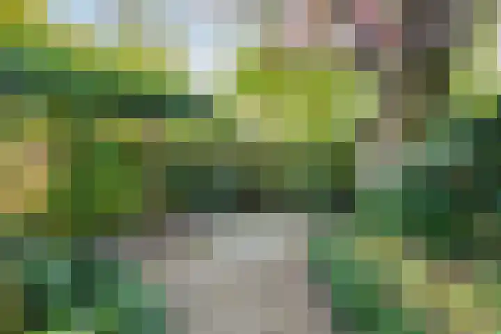 Vlasweel 16 Terheijden thumbnail 35