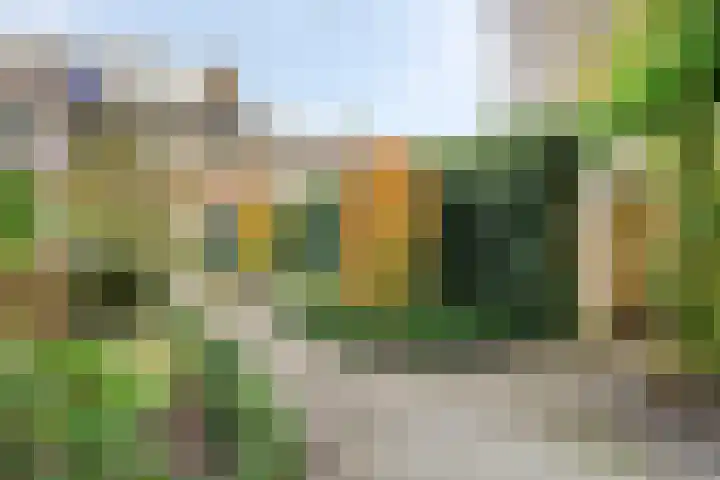 Vlasweel 16 Terheijden thumbnail 36