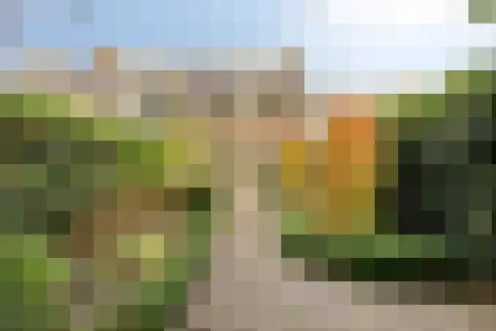 Vlasweel 16 Terheijden thumbnail 37