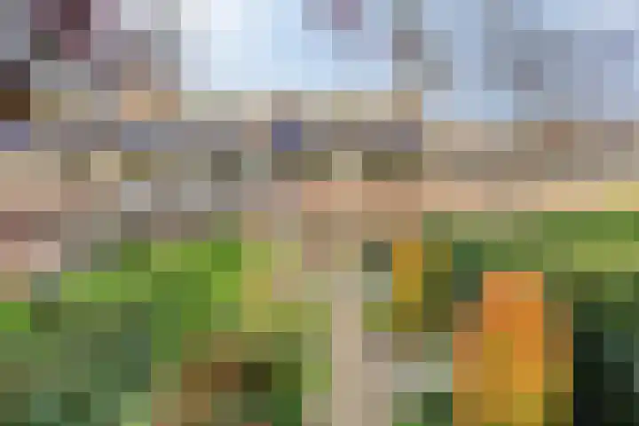 Vlasweel 16 Terheijden thumbnail 38