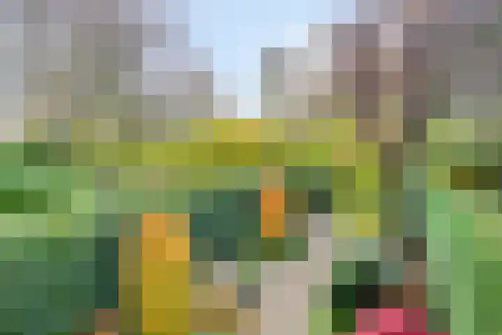 Vlasweel 16 Terheijden thumbnail 39