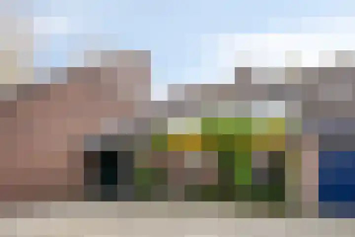 Vlasweel 16 Terheijden thumbnail 4