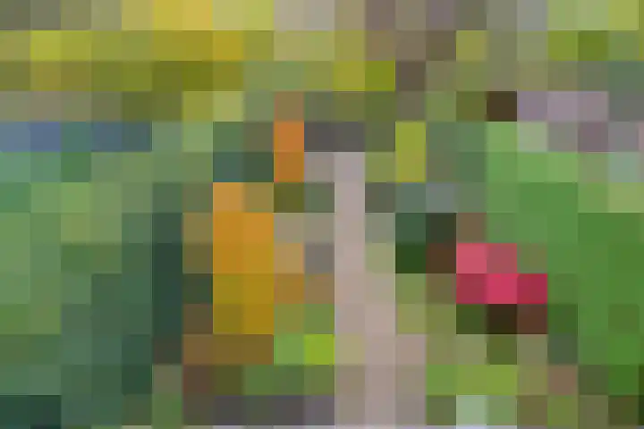 Vlasweel 16 Terheijden thumbnail 40