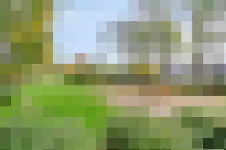Vlasweel 16 Terheijden thumbnail 41