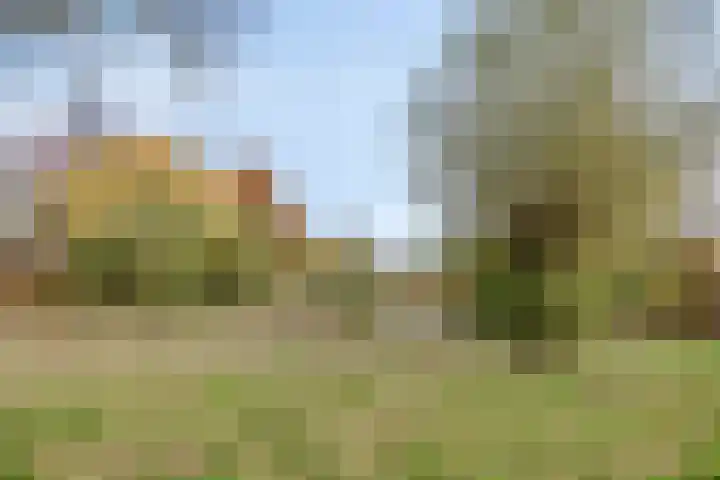 Vlasweel 16 Terheijden thumbnail 42