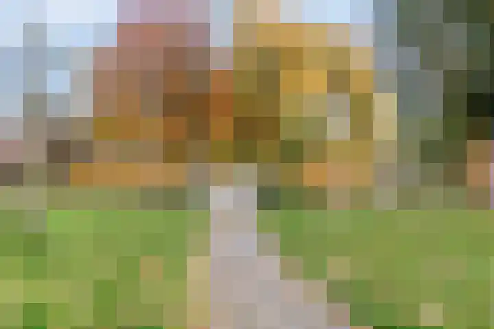 Vlasweel 16 Terheijden thumbnail 43