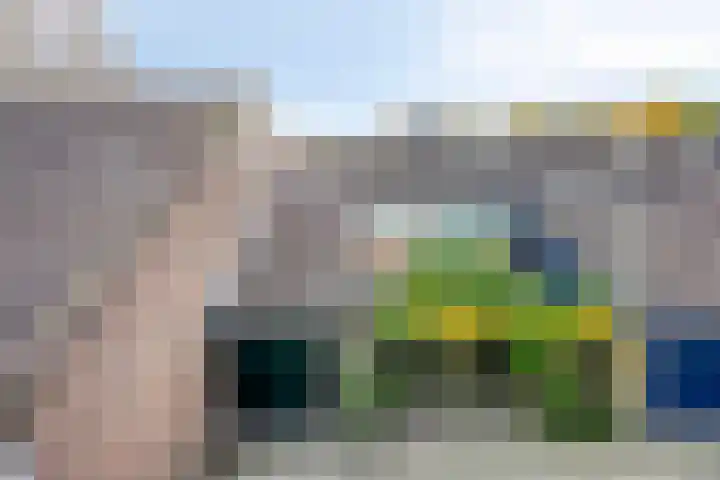 Vlasweel 16 Terheijden thumbnail 44