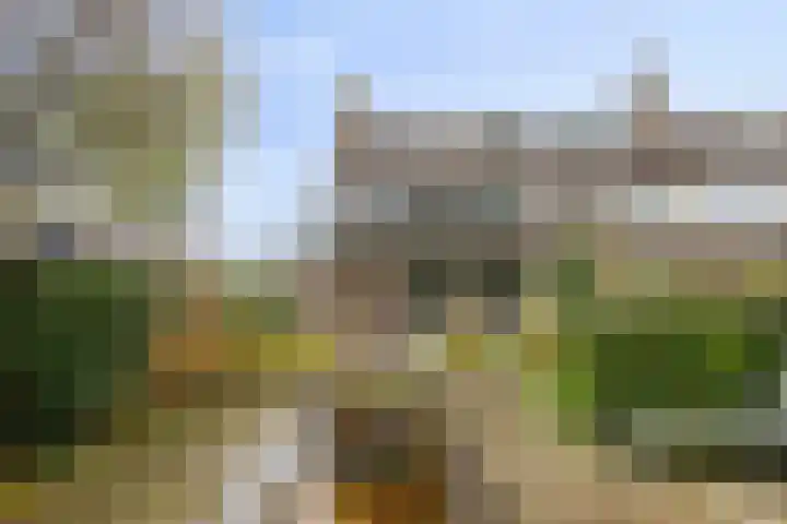 Vlasweel 24 dans Terheijden