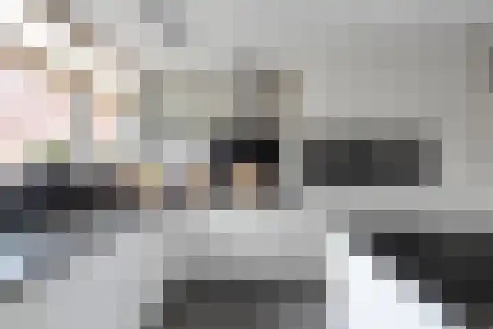 Vlasweel 24 Terheijden thumbnail 19