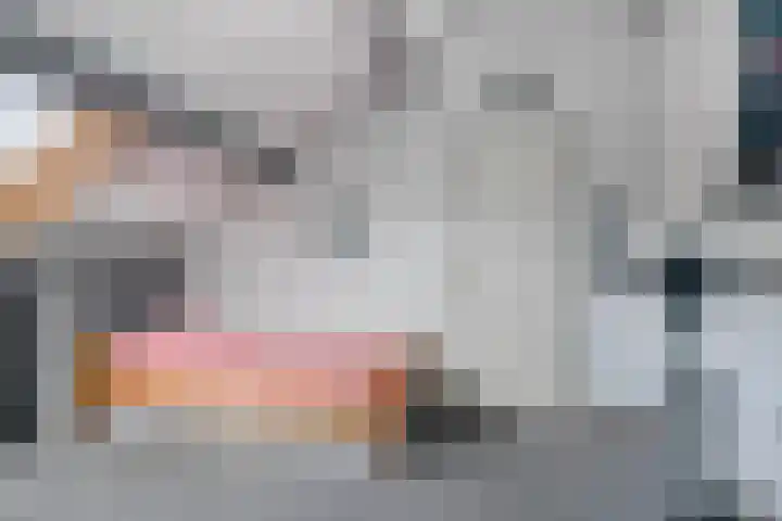Vlasweel 24 Terheijden thumbnail 33