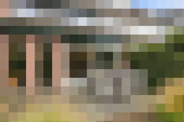 Vlasweel 24 Terheijden thumbnail 34
