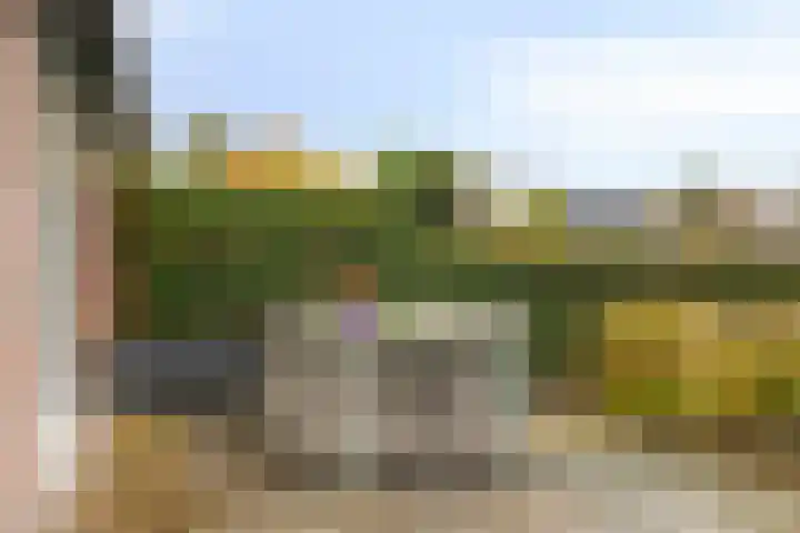 Vlasweel 24 Terheijden thumbnail 35