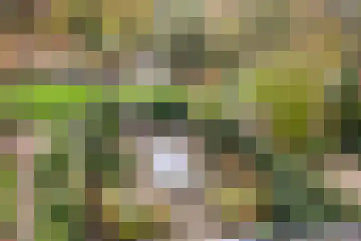 Vlasweel 24 Terheijden thumbnail 36