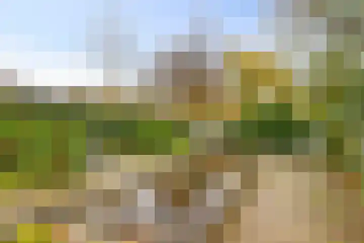 Vlasweel 24 Terheijden thumbnail 37