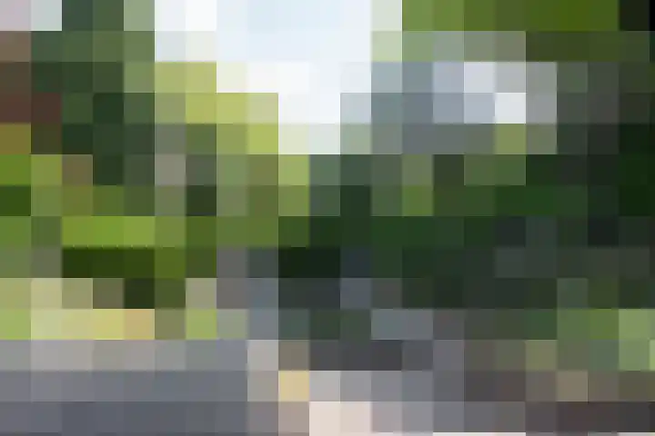 Vlasweel 24 Terheijden thumbnail 38