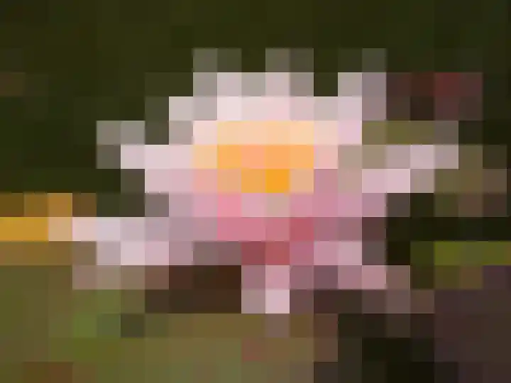Vlasweel 24 Terheijden thumbnail 39