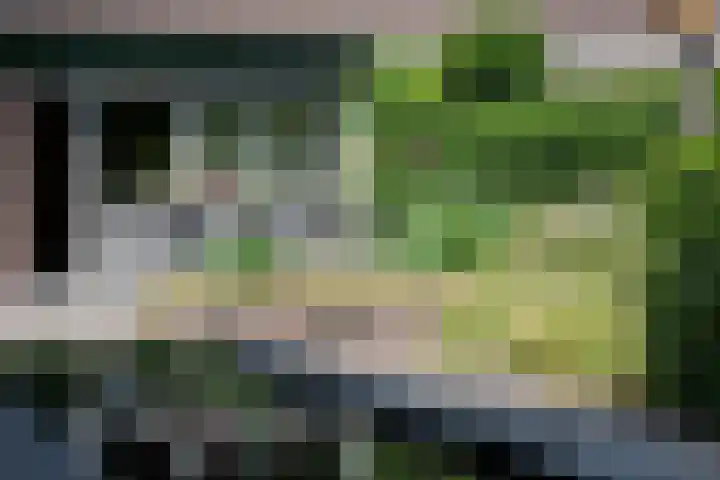 Vlasweel 24 Terheijden thumbnail 40