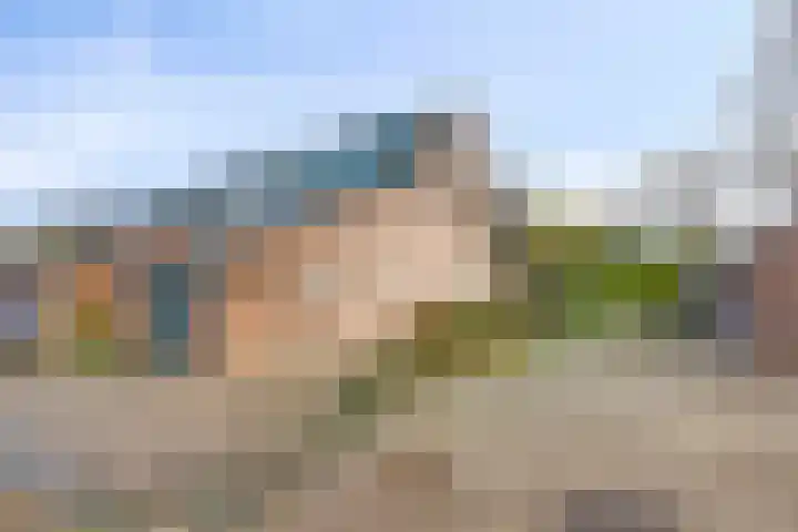 Vlasweel 24 Terheijden thumbnail 41