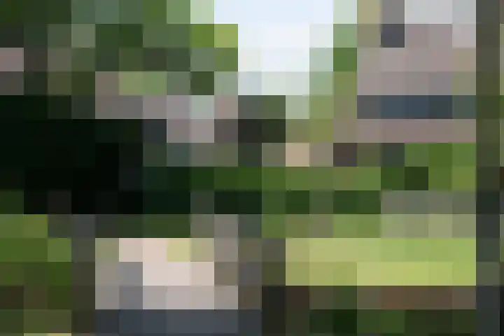 Vlasweel 24 Terheijden thumbnail 42