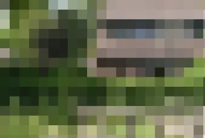 Vlasweel 24 Terheijden thumbnail 43