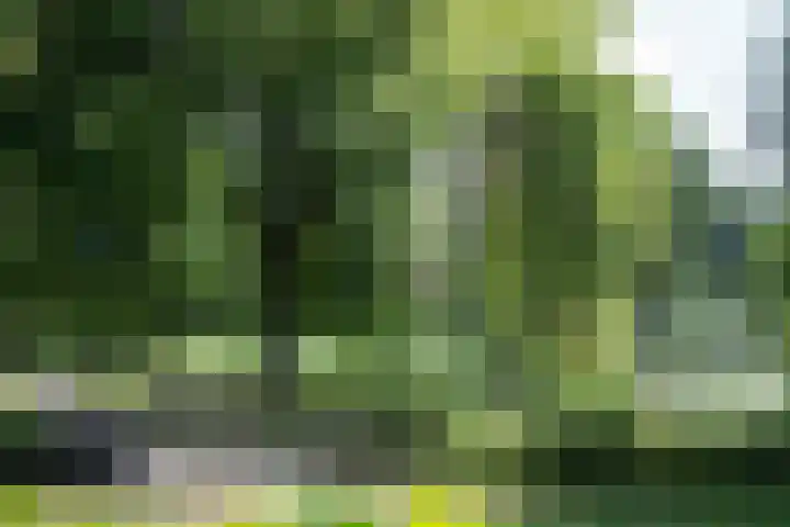 Vlasweel 24 Terheijden thumbnail 44