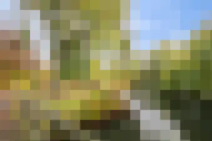 Vlasweel 24 Terheijden thumbnail 46