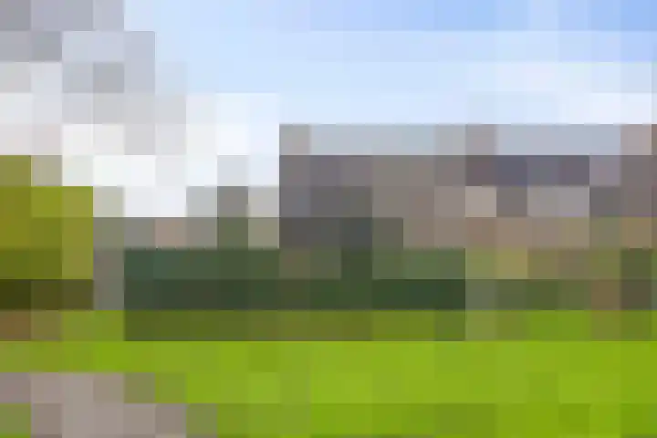 Vlasweel 24 Terheijden thumbnail 47