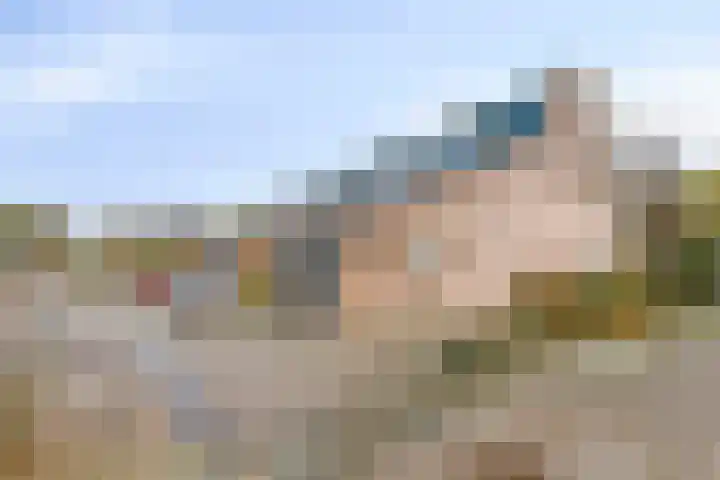 Vlasweel 24 Terheijden thumbnail 5