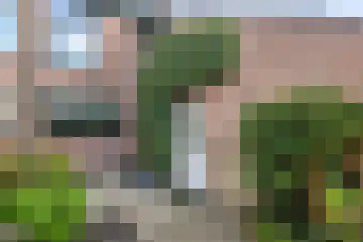 Vlasweel 24 Terheijden thumbnail 6