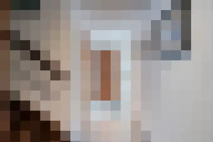 Vlasweel 24 Terheijden thumbnail 7